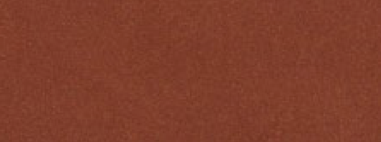 Alkemia 11