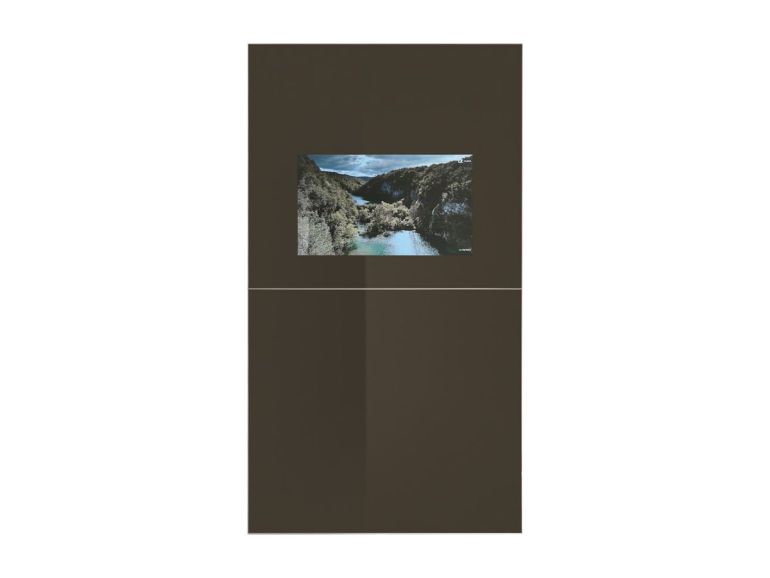 Шкаф-купе Tomasella Vision